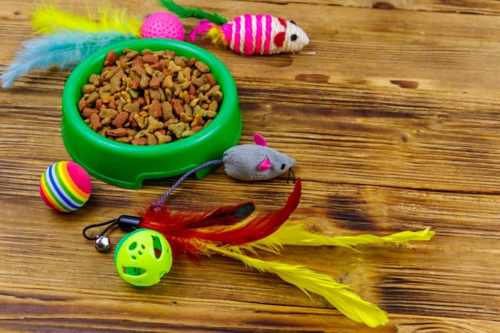 Nourriture équilibrée pour chat