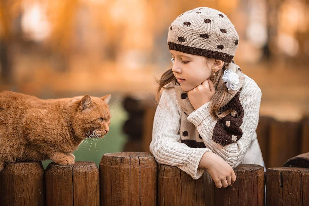 enfants chats