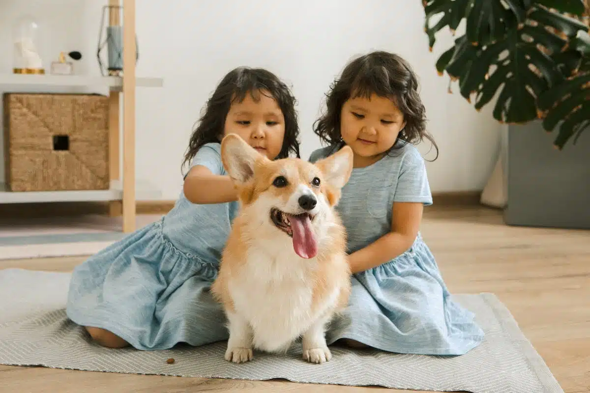 enfants chiens