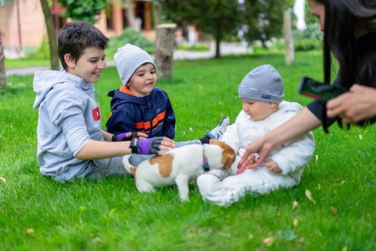 enfants chiens