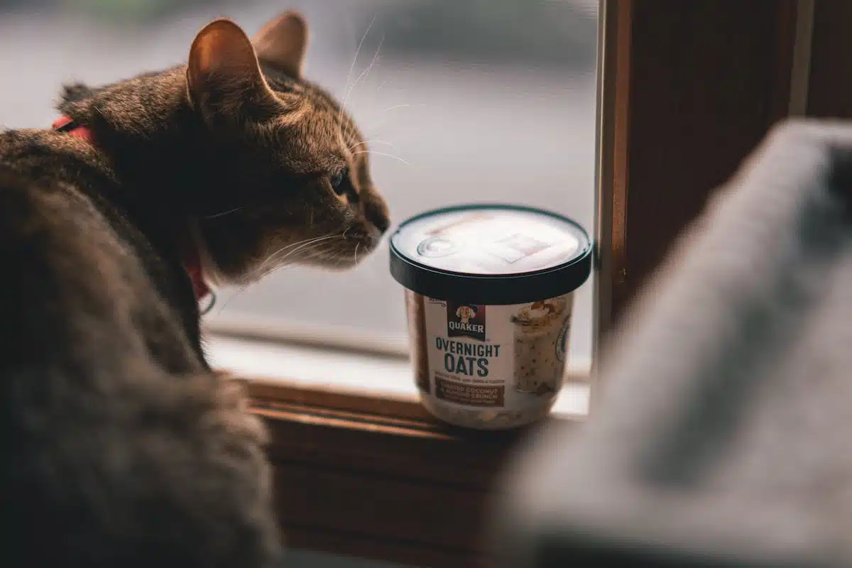 nourriture animaux