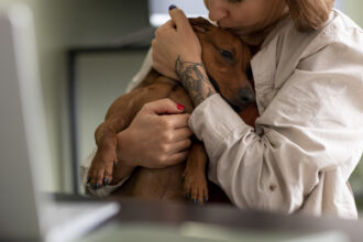 Assurance animaux : pourquoi si peu de Français couvrent leur chien ou leur chat ?