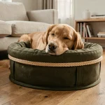 Chien golden retriever allongé dans un panier en toile résistante vert olive posé sur un parquet en chêne dans un salon scandinave moderne